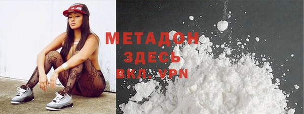 шишки Няндома