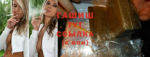 шишки Няндома