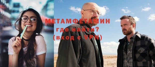 шишки Няндома