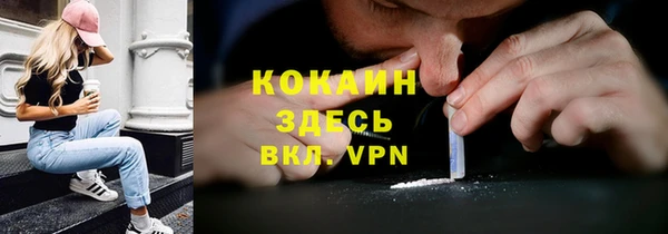 шишки Няндома
