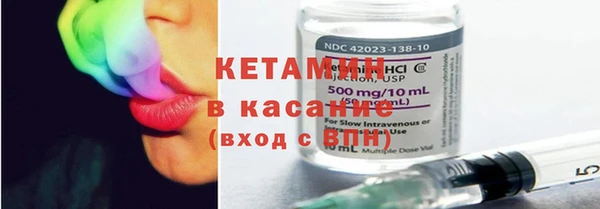 шишки Няндома