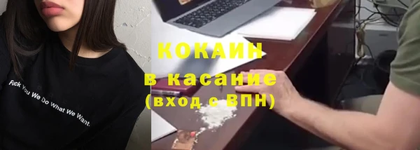 шишки Няндома