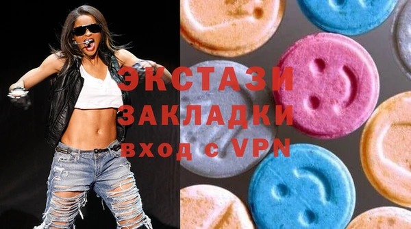 шишки Няндома