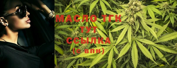шишки Няндома
