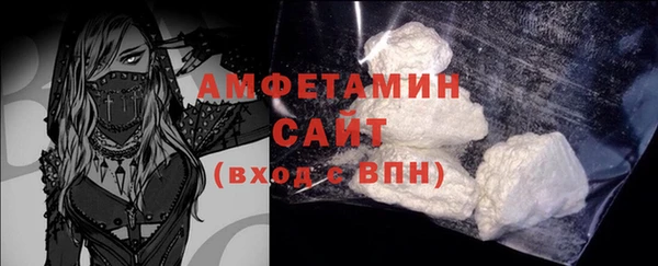 шишки Няндома