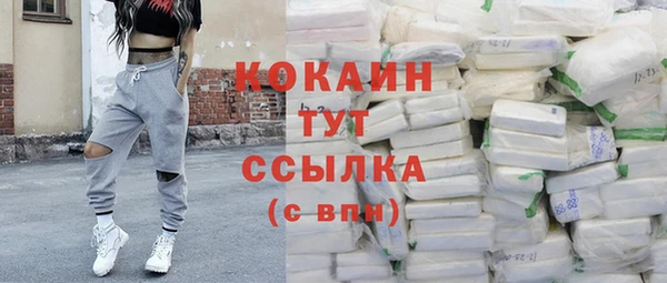 шишки Няндома