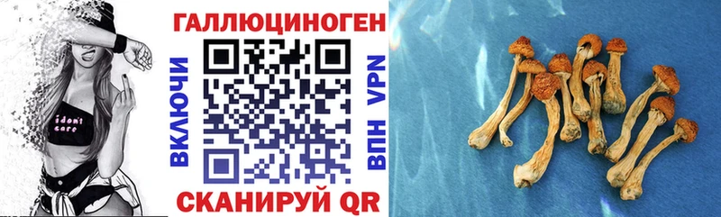 Купить закладки  Духовщина  Псилоцибиновые грибы Magic Shrooms 